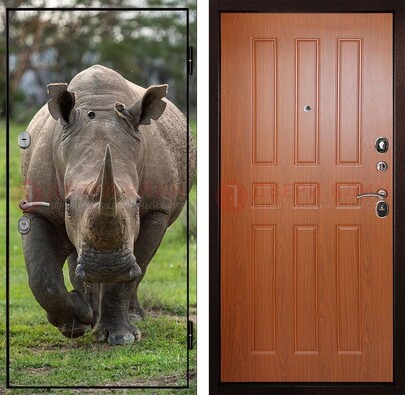 Металлическая дверь с фотопечатью носорога ДФ-31 в Орле