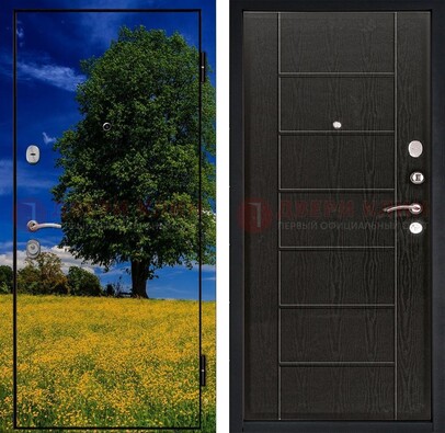 Железная дверь с фотопечатью дерева в поле ДФ-36 в Орле