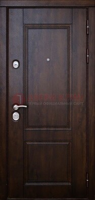 Темная железная дверь с виноритом ДВТ-4 в Орле